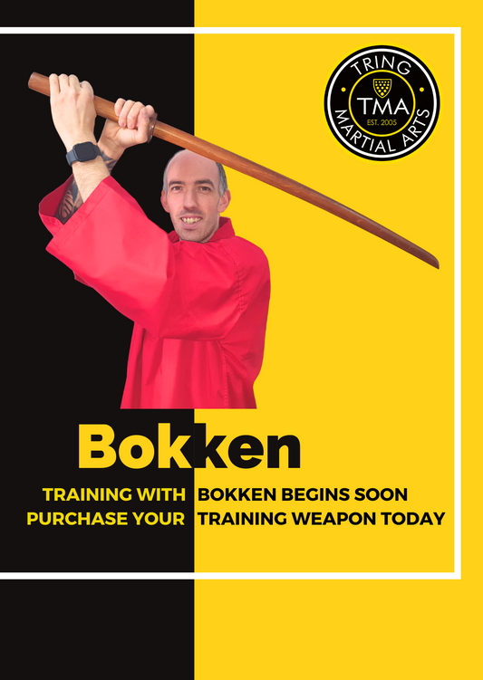 Bokken (Wooden Sword)