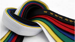 Replacement Belt